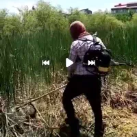 زدن علف های هرز و چمن زنی|خدمات باغبانی و درختکاری|رشت, توشیبا|دیوار