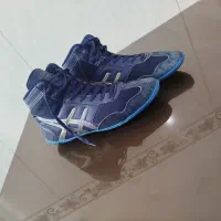 کفش کشتی|تجهیزات ورزشی|میانه, |دیوار