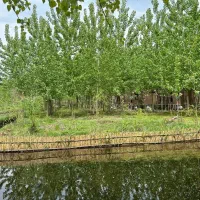 حس-آرامش-را-به-خانه-ات-ببر