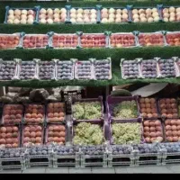 فروشنده خانوم معمولی جهت کار در میوه فروشی