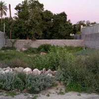 فروش-زمین-482-متر-بی-بی-نازنینی