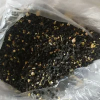 بذرپیازمحلی