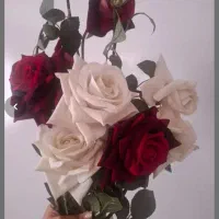 گل رز|گل مصنوعی|اسدآباد, |دیوار