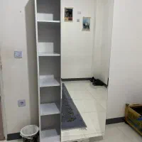 اینه جاکفشی