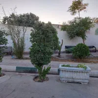 خانه ویلایی ، ۴۳۰ متر ، در رباط کریم پیغمبر|فروش خانه و ویلا|رباطکریم, پیغمبر|دیوار