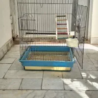 قفس عروس هلندی ۳عدد جنس خوب