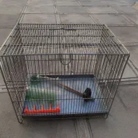 دوتا قفس غلامی، جفت تل|لوازم جانبی حیوانات|ایلام, |دیوار