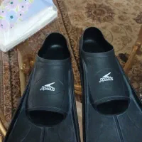 فین استخر