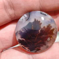 شجر کلکسیونی قاین|جواهرات|اصفهان, شهشهان|دیوار