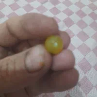 مهره کهنه|کلکسیون اشیاء عتیقه|کرمانشاه, |دیوار