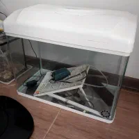 آکواریوم دلسا