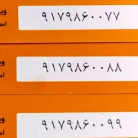 یکجا باهم بفروش می‌رسد