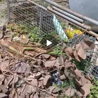 اتاق مزدا تک کابین