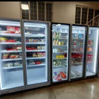 یخچال مخصوص پروتئینی ویترینی|فروشگاه و مغازه|مشهد, فدک|دیوار