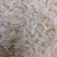 خریدوفروش برنج ایرانی