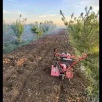 شخم زنی خاک ورزی کوددهی باغ گلخانه