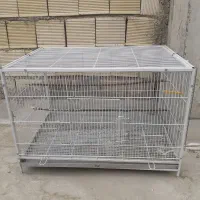 قفس|لوازم جانبی حیوانات|اصفهان, اشکاوند|دیوار