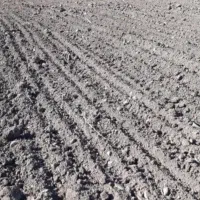 ۱۶۰۰ متر زمین کشاورزی