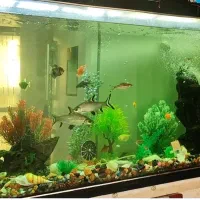 آکواریوم فعال 10میل با ماهی و امکانات