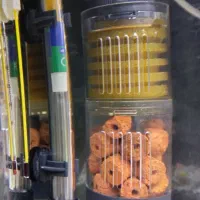 آکواریوم شیشه خم ( با تمام تجهیزات )|ماهی|تهران, جابری|دیوار