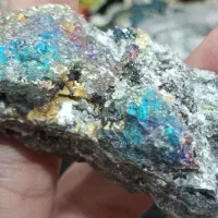 سنگ طلا|کلکسیون اشیاء عتیقه|ساوه, |دیوار