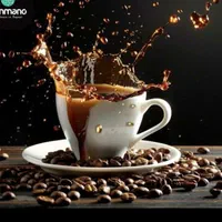 قهوه ساز صنعتی و نیمه صنعتی|کافی‌شاپ و رستوران|نورآباد, |دیوار