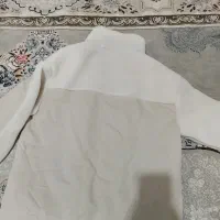 پالتو و کاپشن و‌هودی|لباس|قم, چهل درخت‎|دیوار