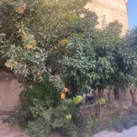 خانه ویلایی درشهرک انجیره شیراز|فروش خانه و ویلا|شیراز, انجیره|دیوار
