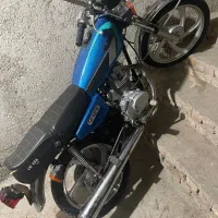 امیکو در حد خشک