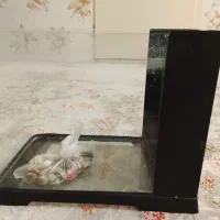 آکواریوم شیشه خم