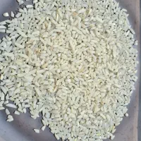 فروش برنج نیم دانه هاشمی آستانه خوش عطر تضمینی