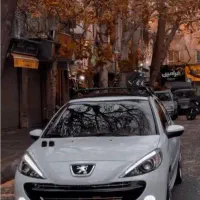 دنده پاناروما 207