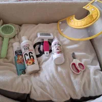 وسایل گربه با جای خواب