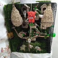 8جفت فنج یدونه هم گرینچک سخنگو