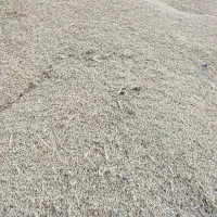 جو دیم|حیوانات مزرعه|مسجد سلیمان, |دیوار