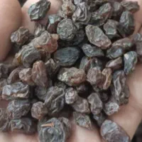 کشمش آفتاب خشک