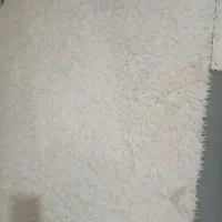 دوعددشگی درحدنو
