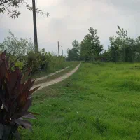 فروش دوپلاک کنار هم ۳۹۵ متری و ۲۸۰ متری فومن|فروش زمین و ملک کلنگی|فومن, |دیوار