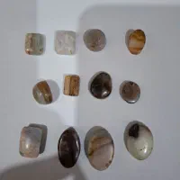 سنگ و نگین شجر|جواهرات|اهواز, کوی علوی|دیوار