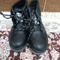 کفش ایمنی البرز
