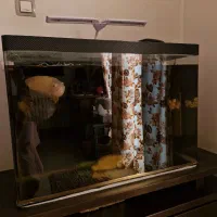 اکواریوم ۸۰ سانتی