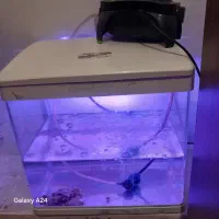 اکواریوم. درسال شرکتی|ماهی|مرودشت, ابوذر جنوبی|دیوار