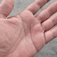 عین واقعیت طالع بینی