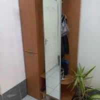 جا کفشی