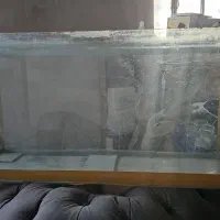 آکواریوم 100*50*30