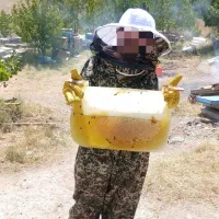 عسل طبیعی قره داغ.