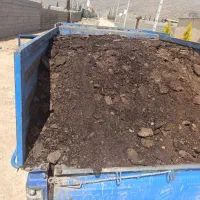 کود حیوانی گل باغچه