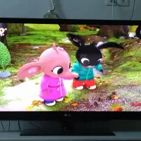 تلوزیون|تلویزیون و پروژکتور|همدان, |دیوار