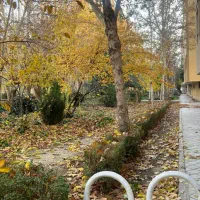 سوییت40-متری-فلت