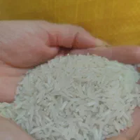 برنج گیلان خوشپخت و طعم سورتینگ شده|خوردنی و آشامیدنی|کرج, شهرک یاس شمالی|دیوار